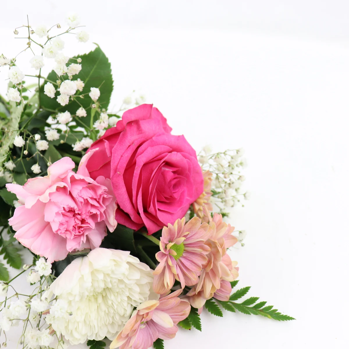 litlle flowers