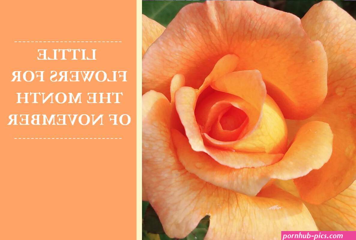litlle flowers