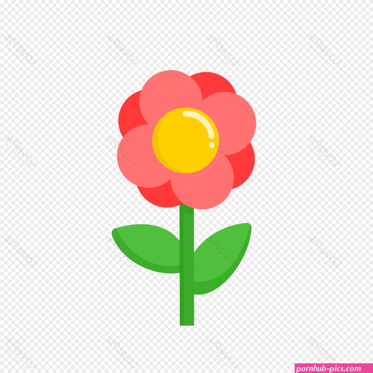 litlle flowers