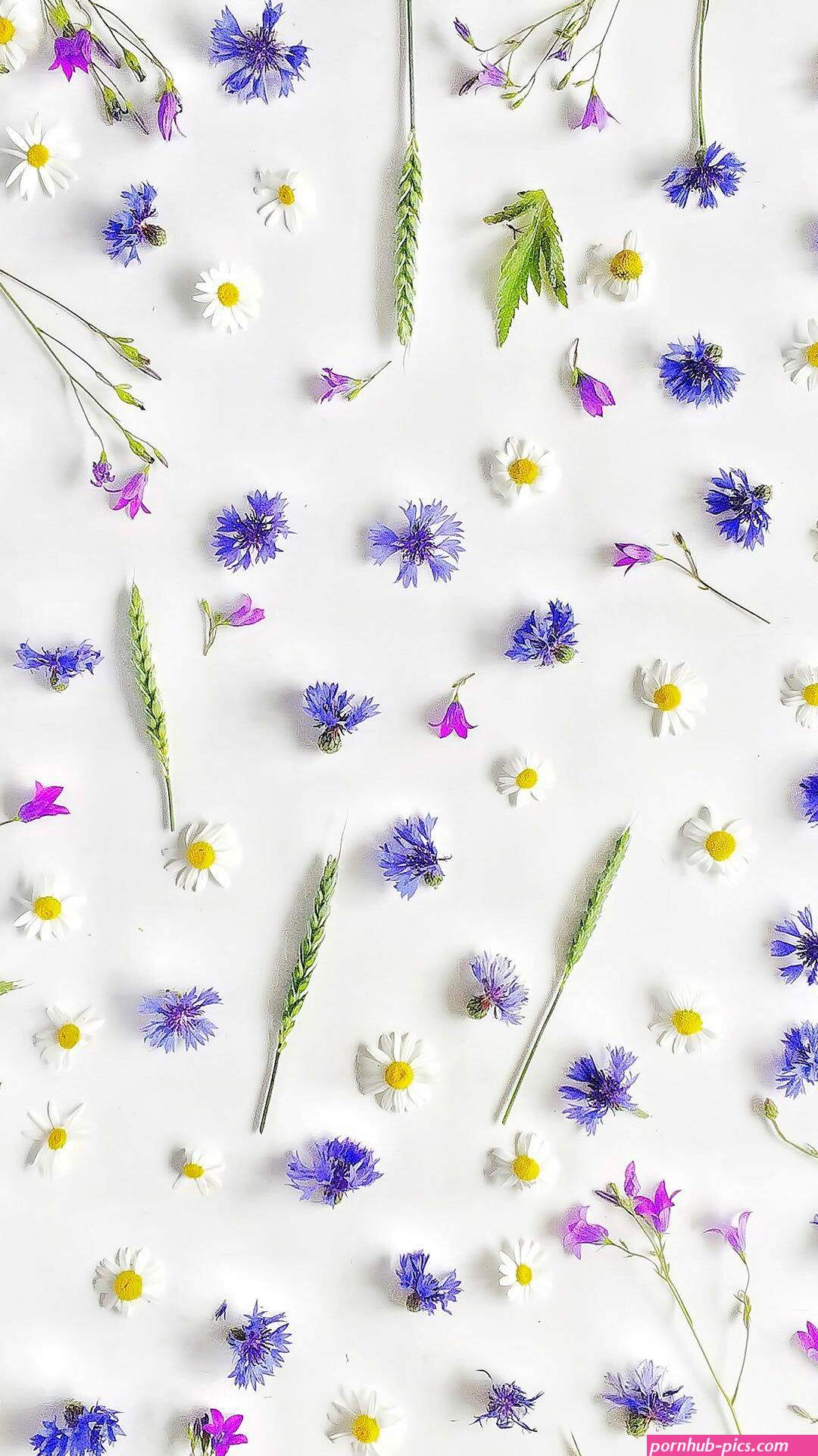 litlle flowers