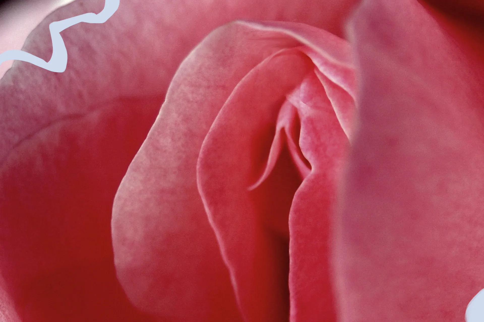 inwardly beautyy vagina
