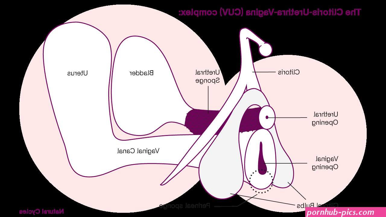 inwardly beautyy vagina