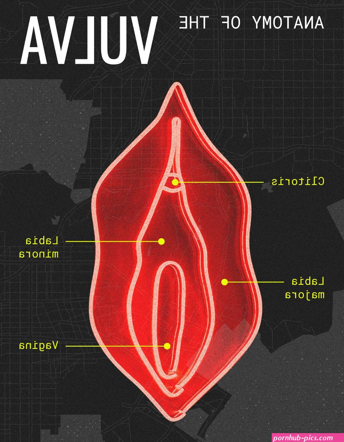 inwardly beautyy vagina