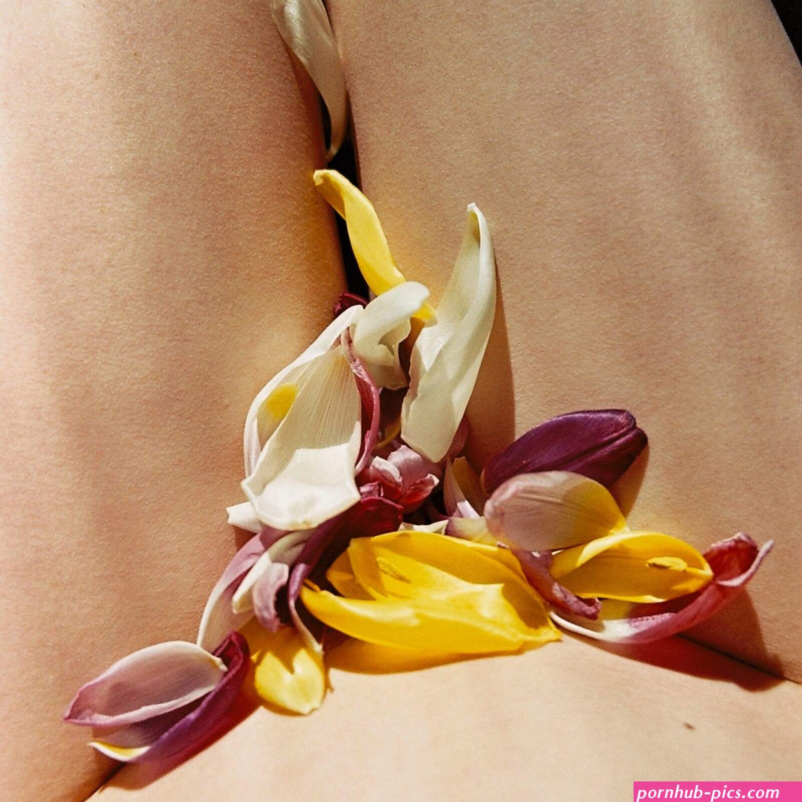 inwardly beautyy vagina