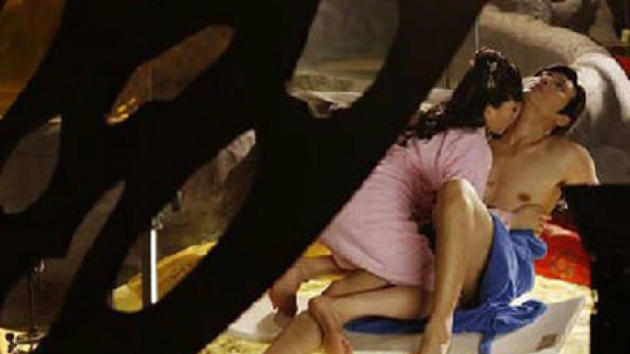3d sex and zen hindi dubbed