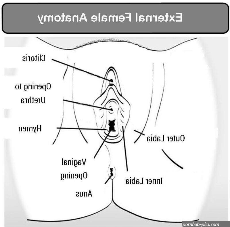 naked girl pussy types size