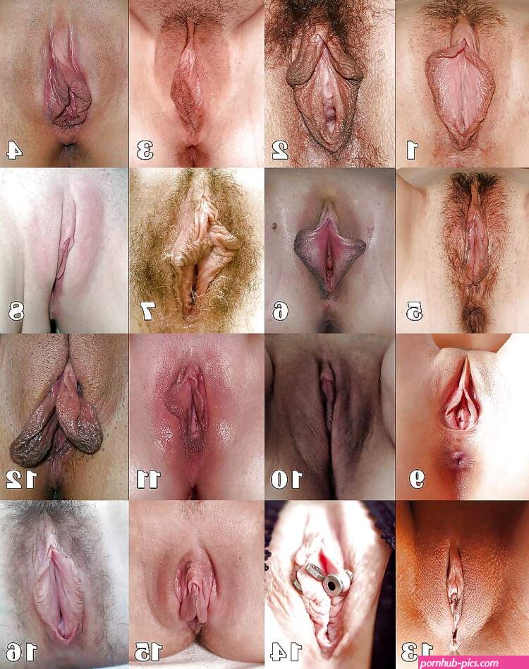 naked girl pussy types size
