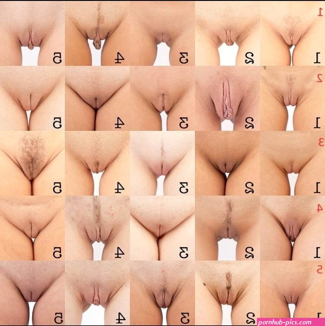 naked girl pussy types size