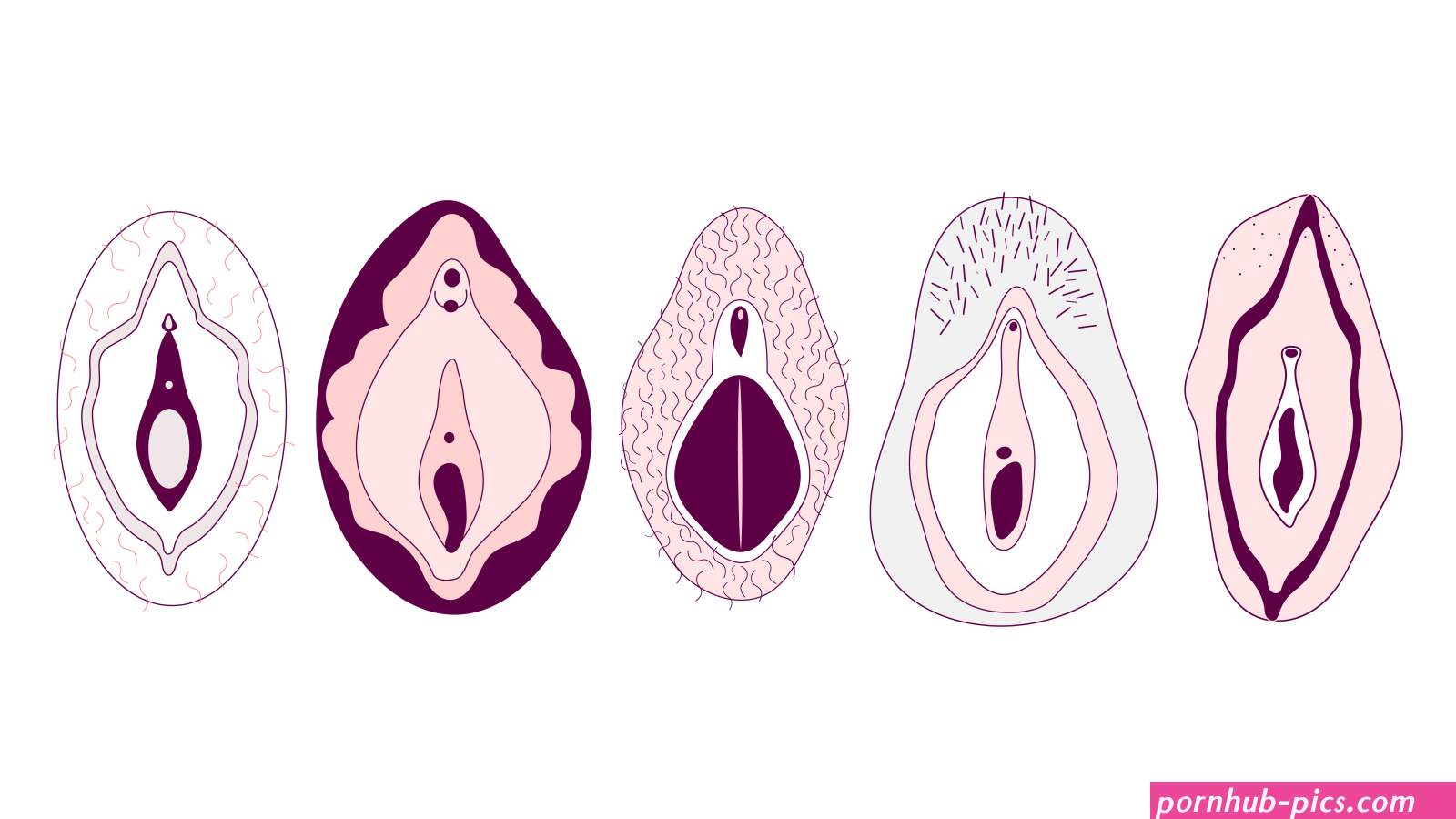 naked girl pussy types size