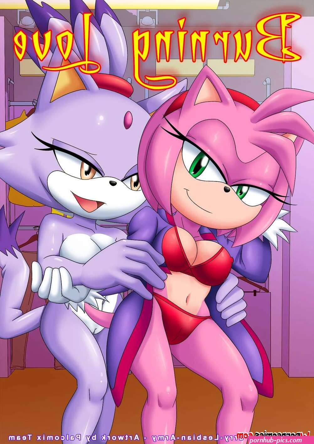 sonic porn