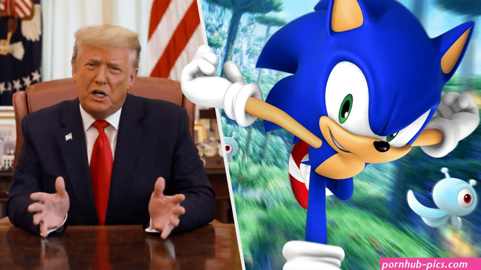 sonic porn