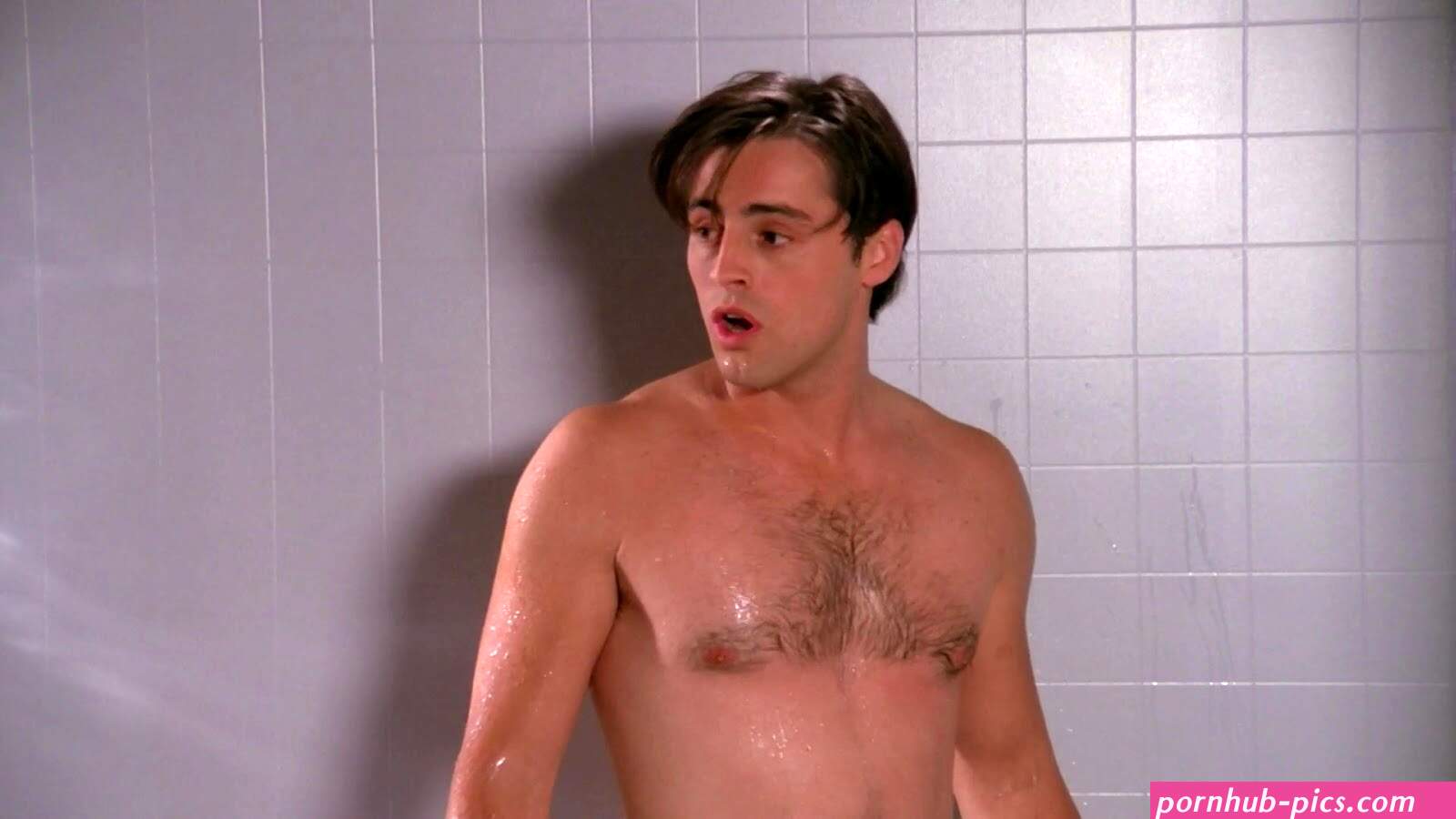 matt leblanc nude