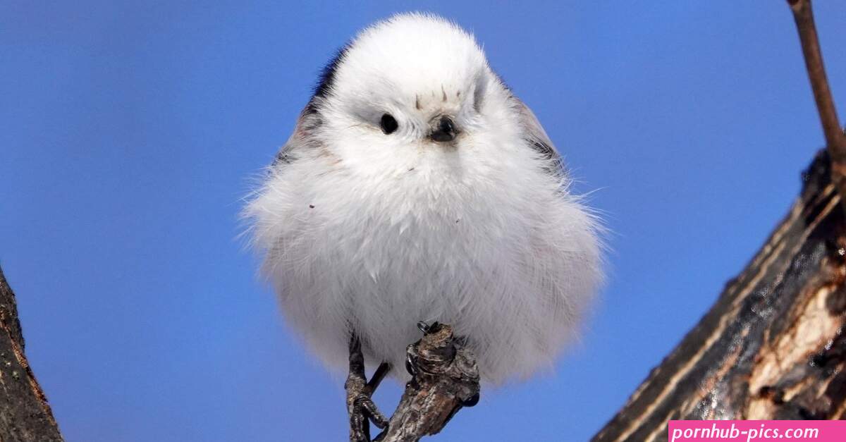 cute little tits