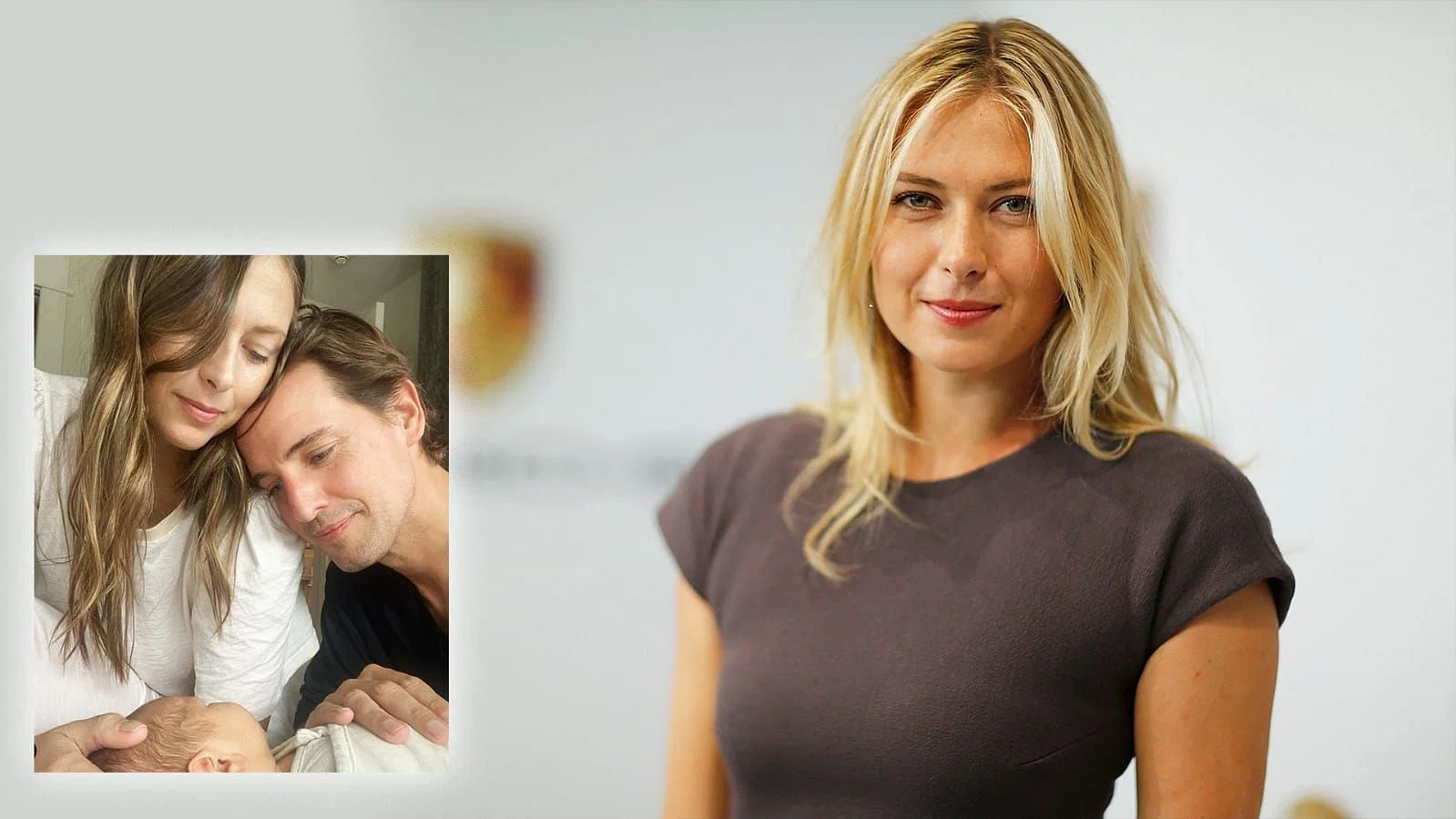 sharapova tits hot