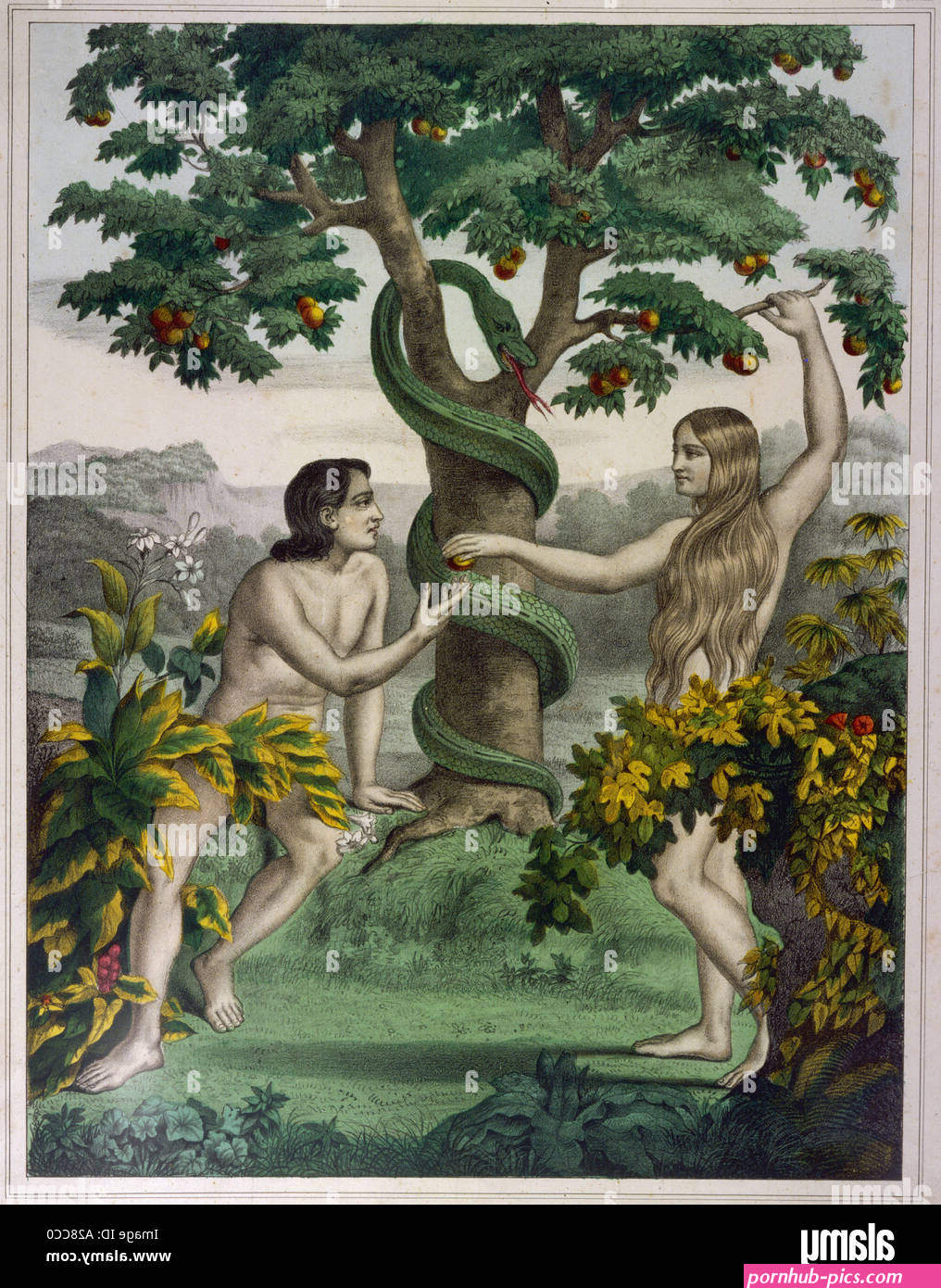 adamandevea