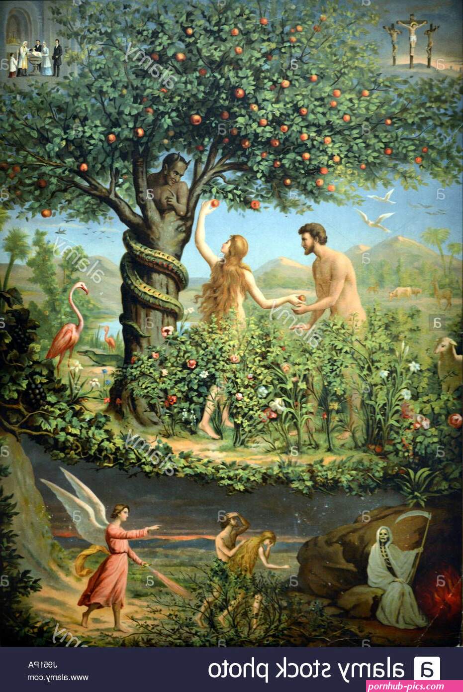adamandevea