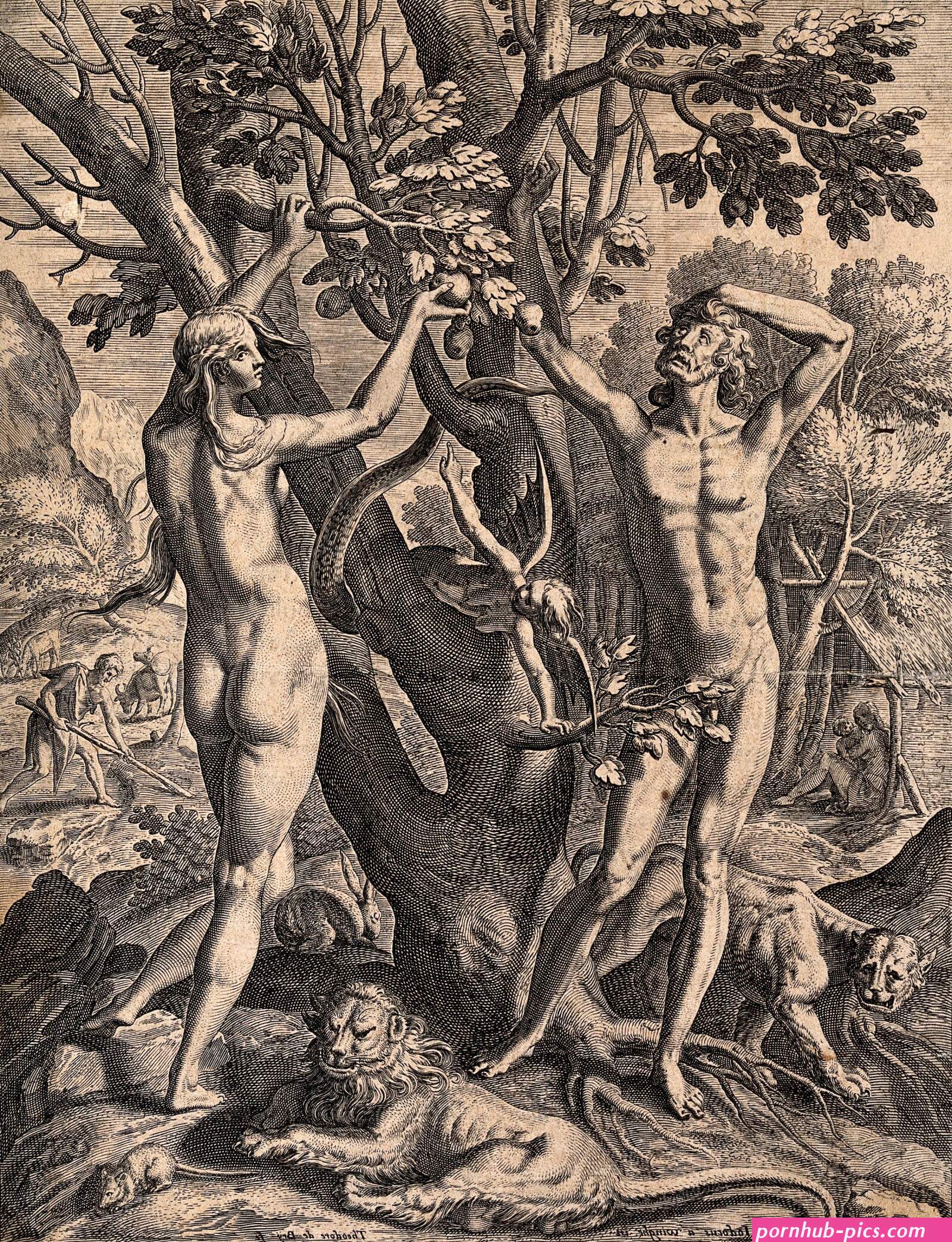 adamandevea