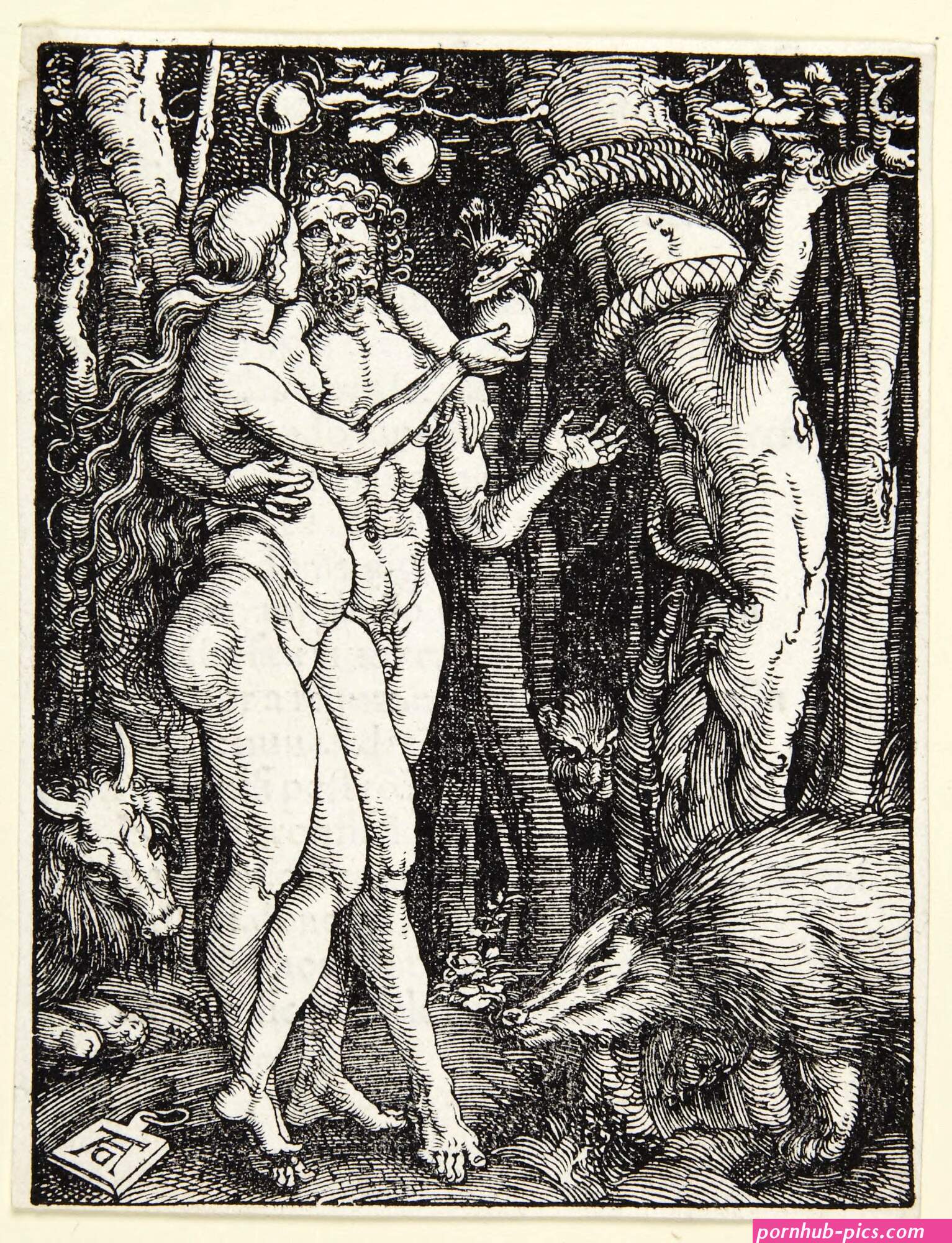 adamandevea