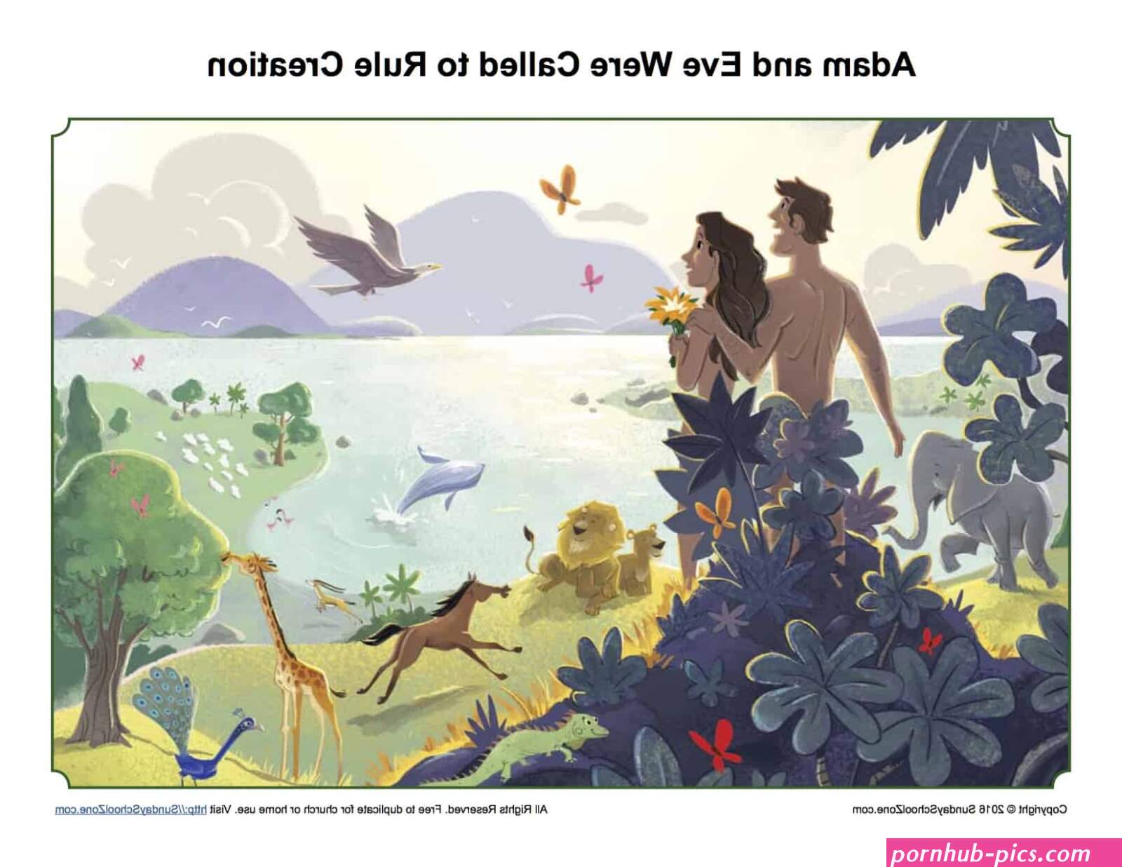 adamandevea