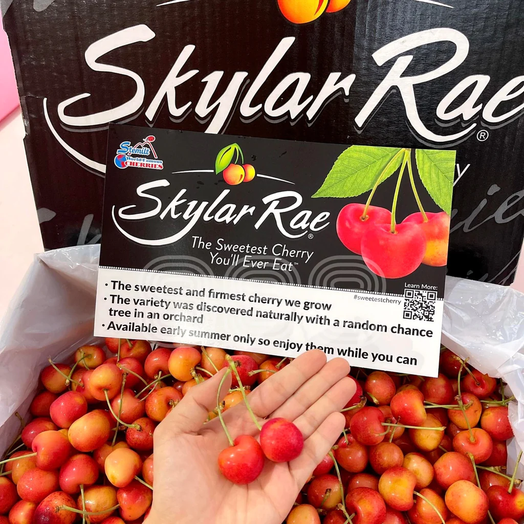 skylarxrrae