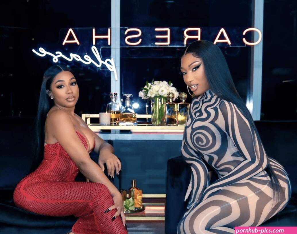 megan thee stallion porn
