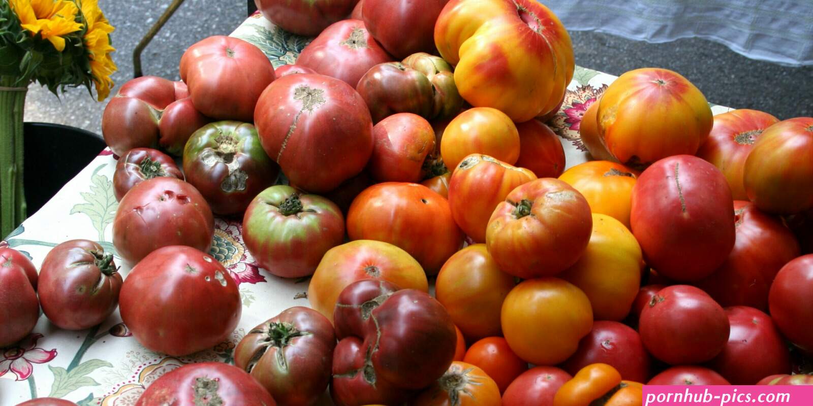farmeralirae