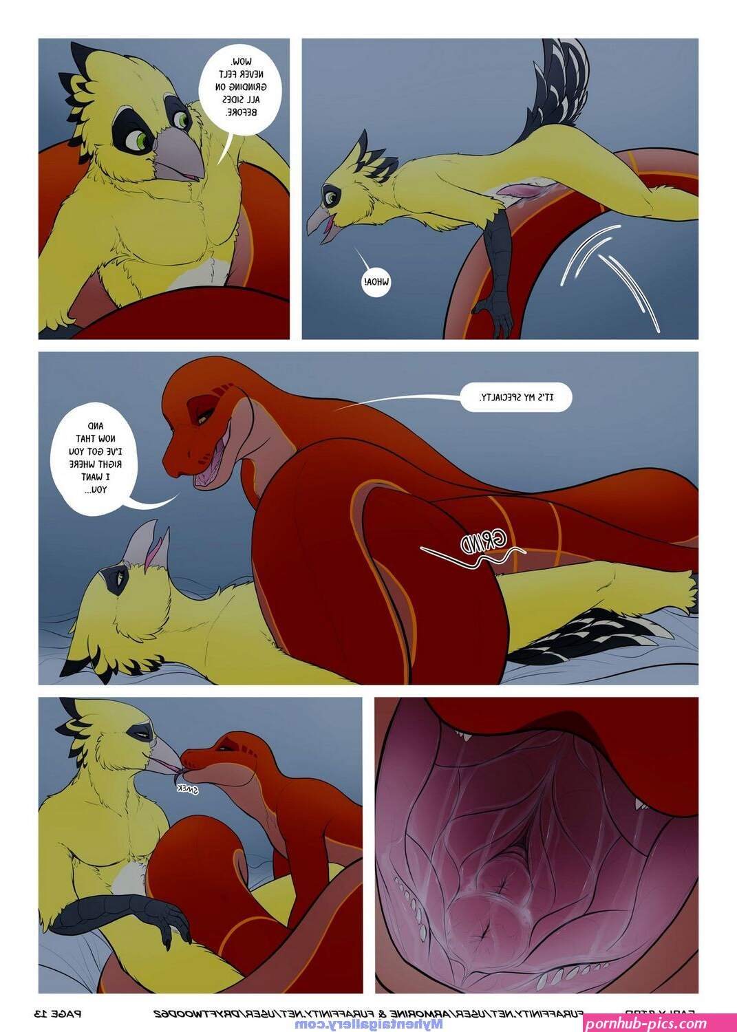 bird porn