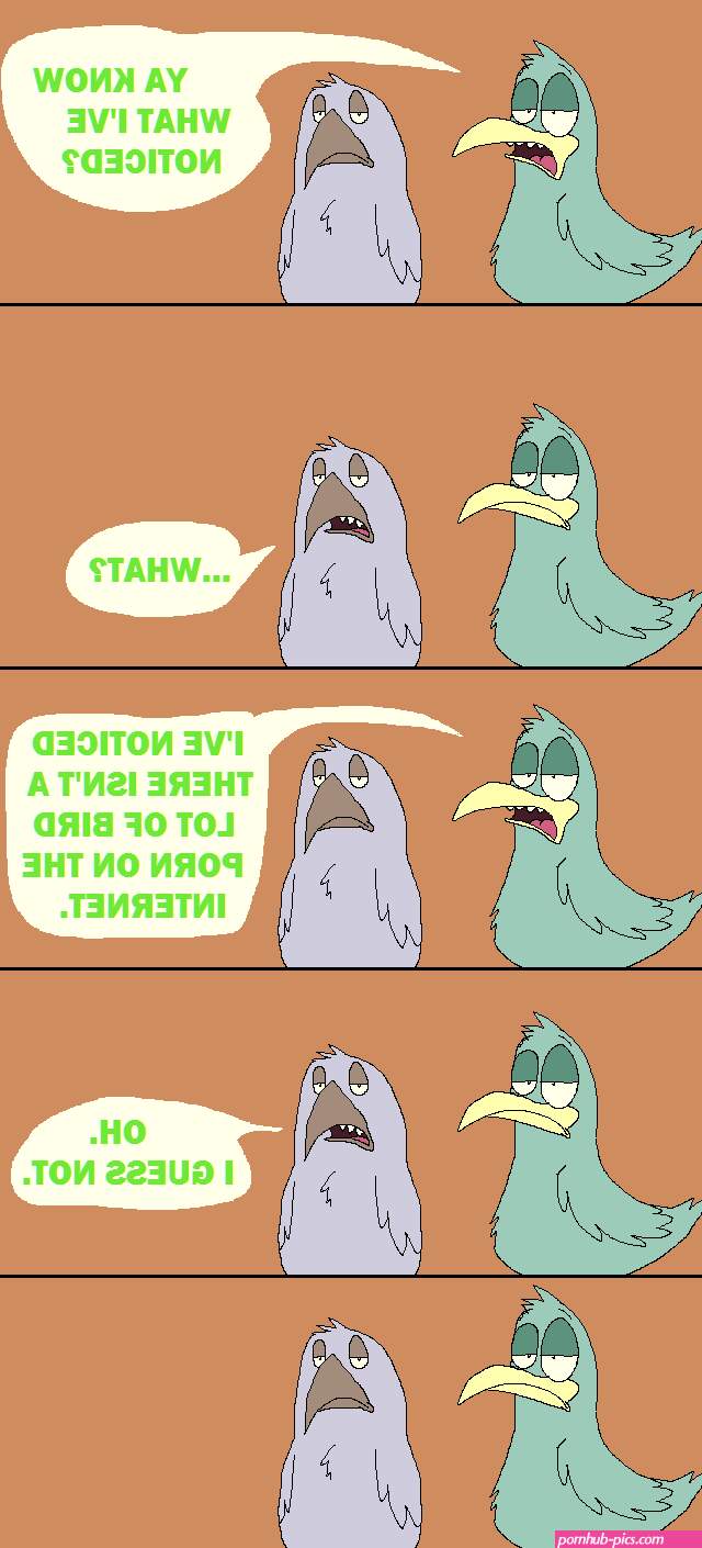 bird porn