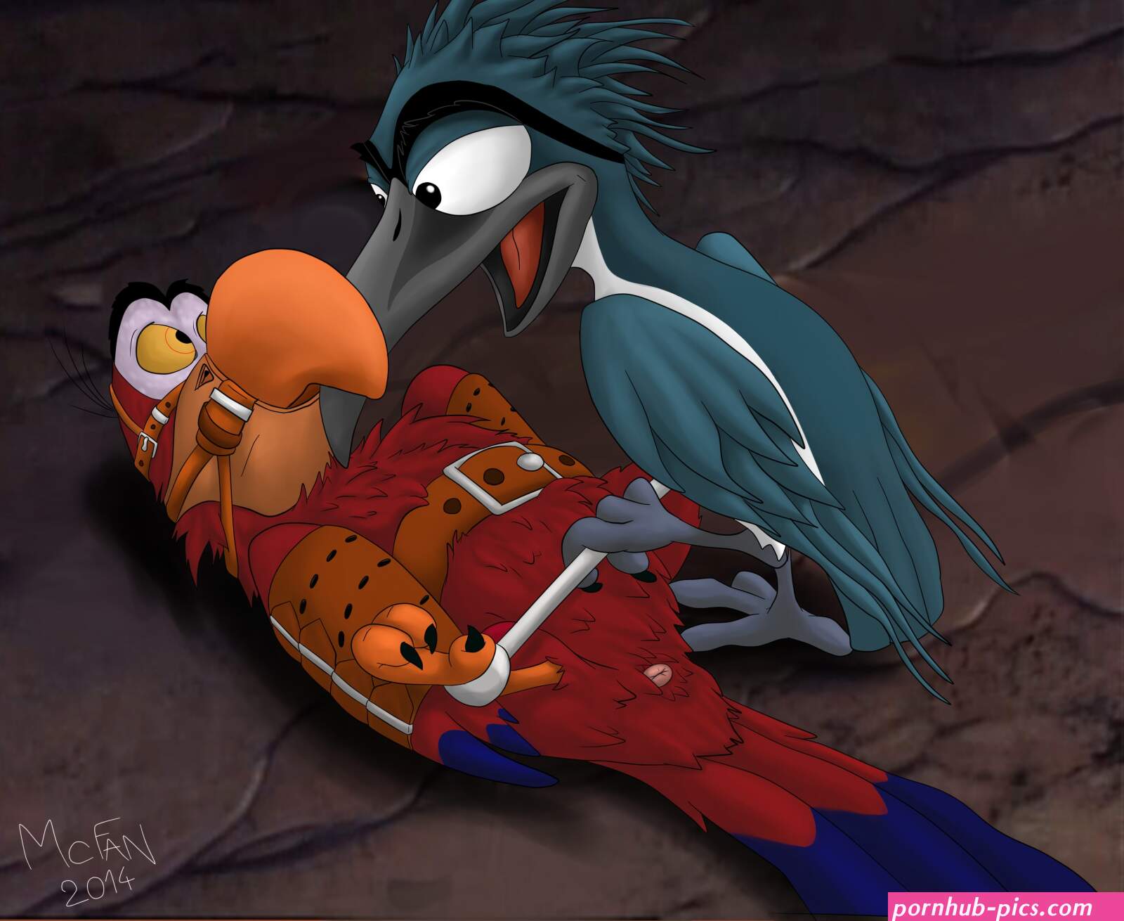 bird porn
