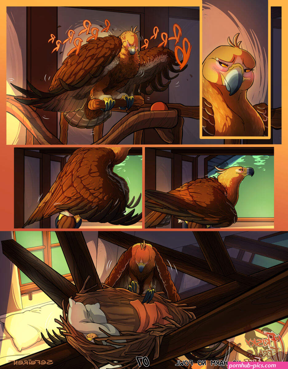 bird porn