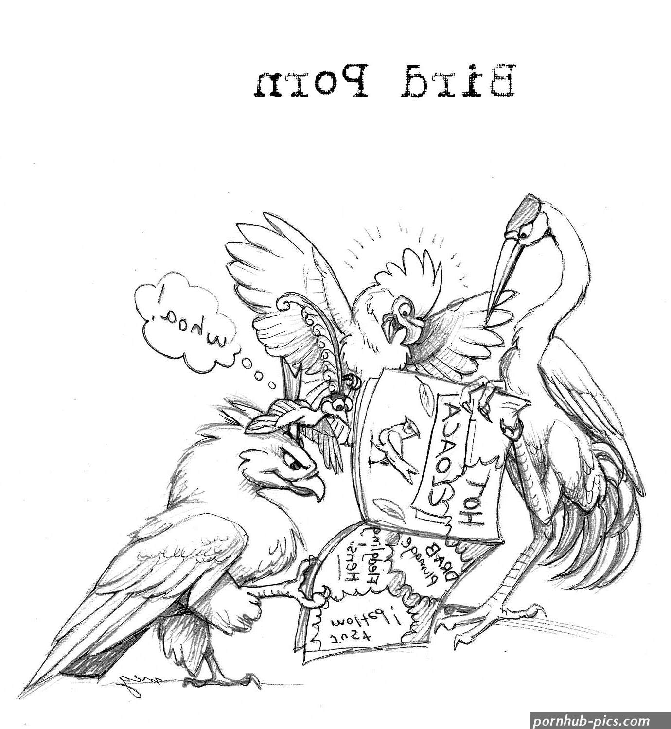 bird porn