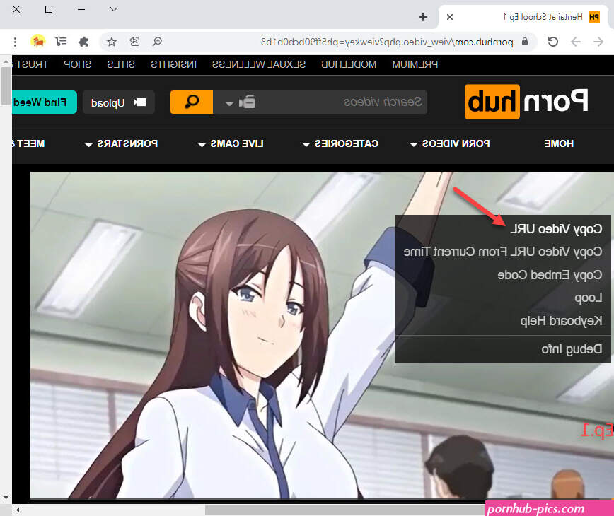 porn hub download online