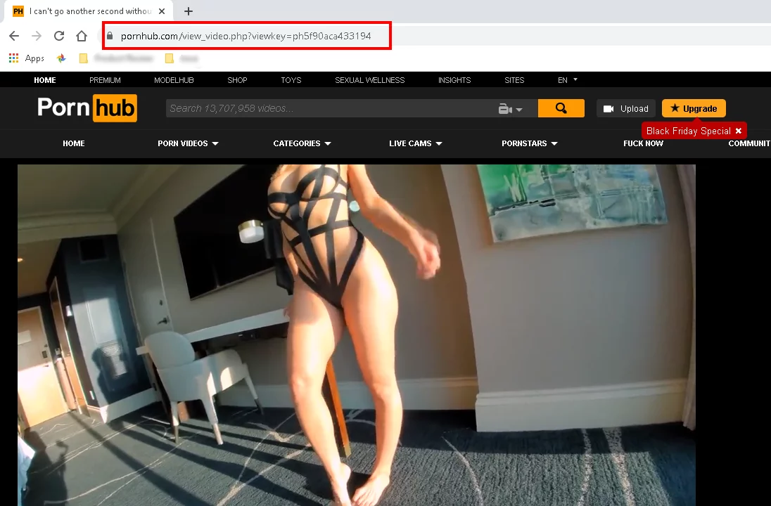 porn hub download online