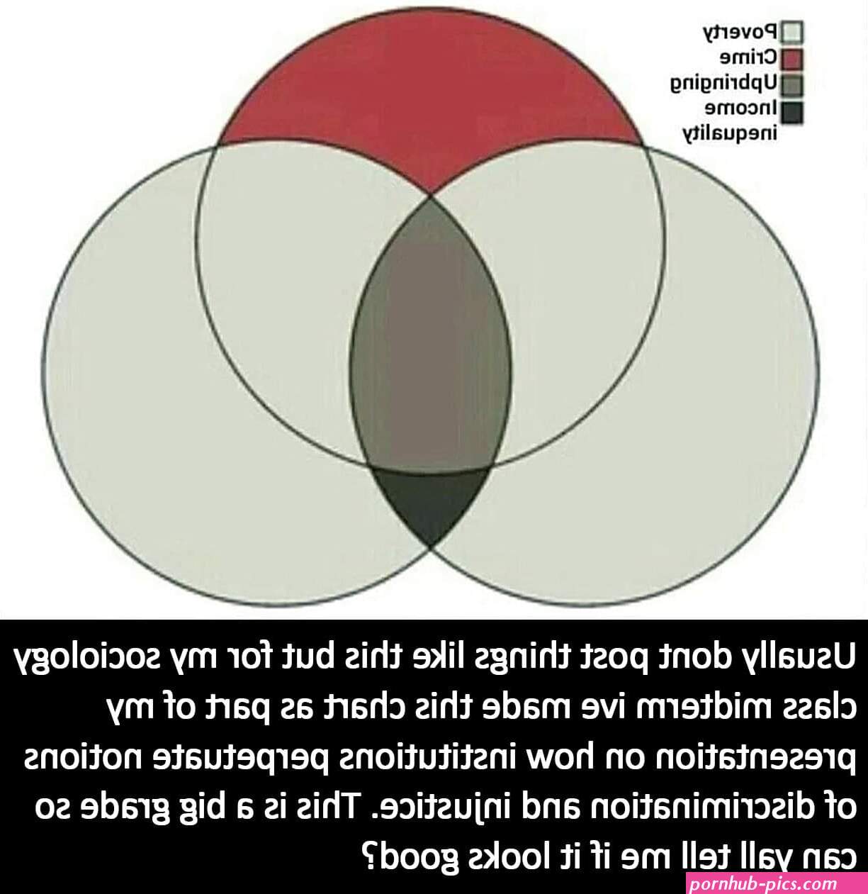 nikocado avocado's asshole