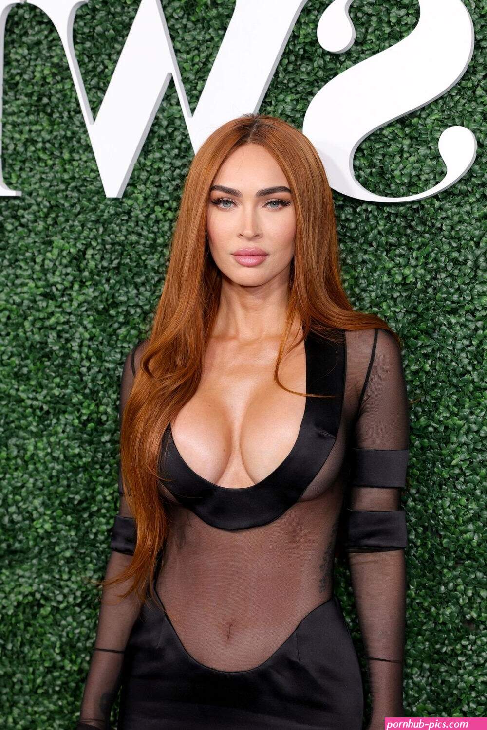 megan fox tits