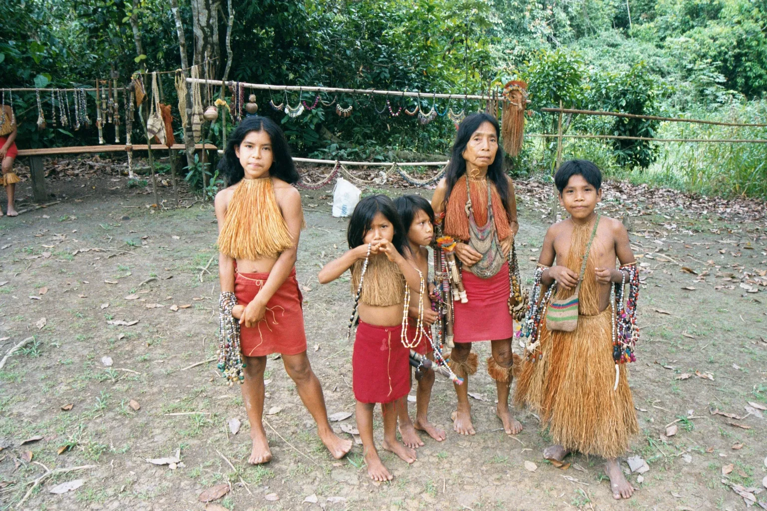 amazon tribe busty sex