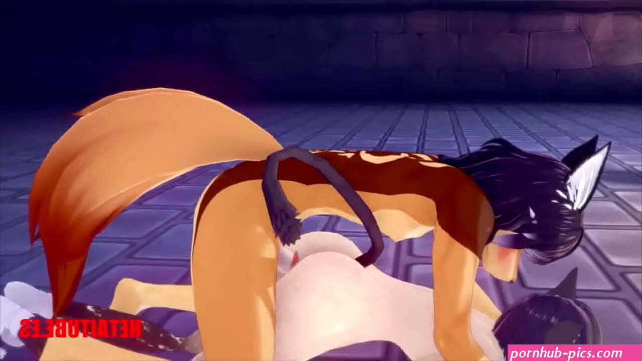 furry porn compilation