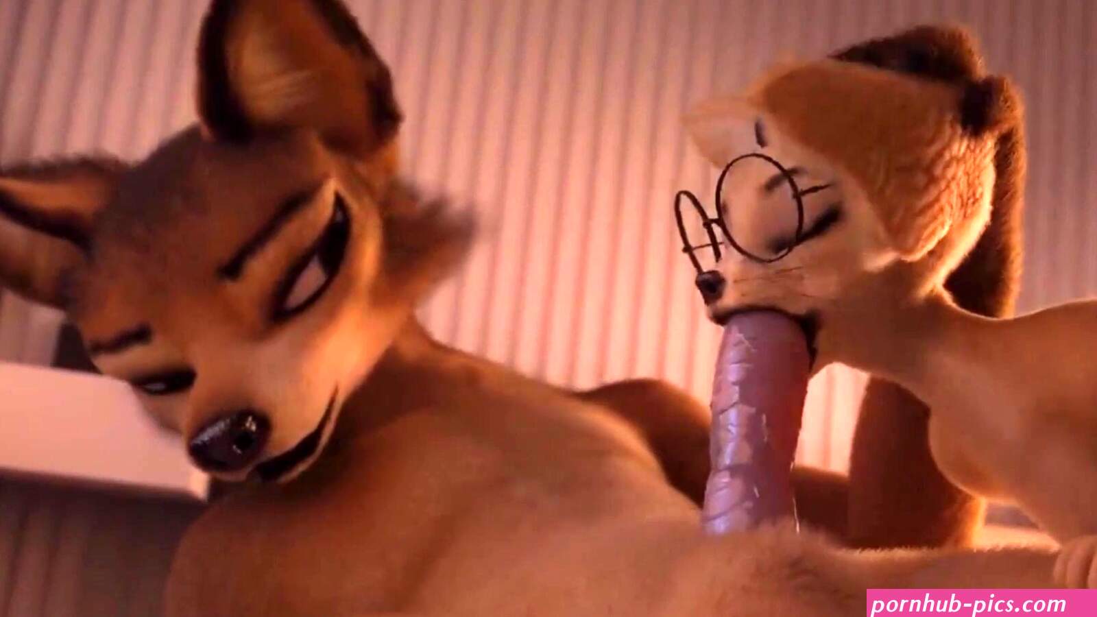 furry porn compilation