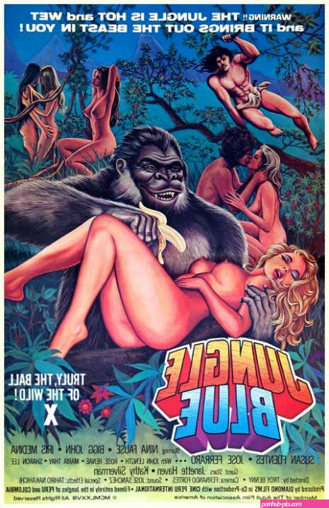 The Golden Age of Porn, the most memorable vintage adult movie posters. | Savage Thrills