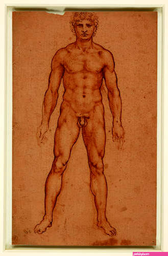 Standing male nude