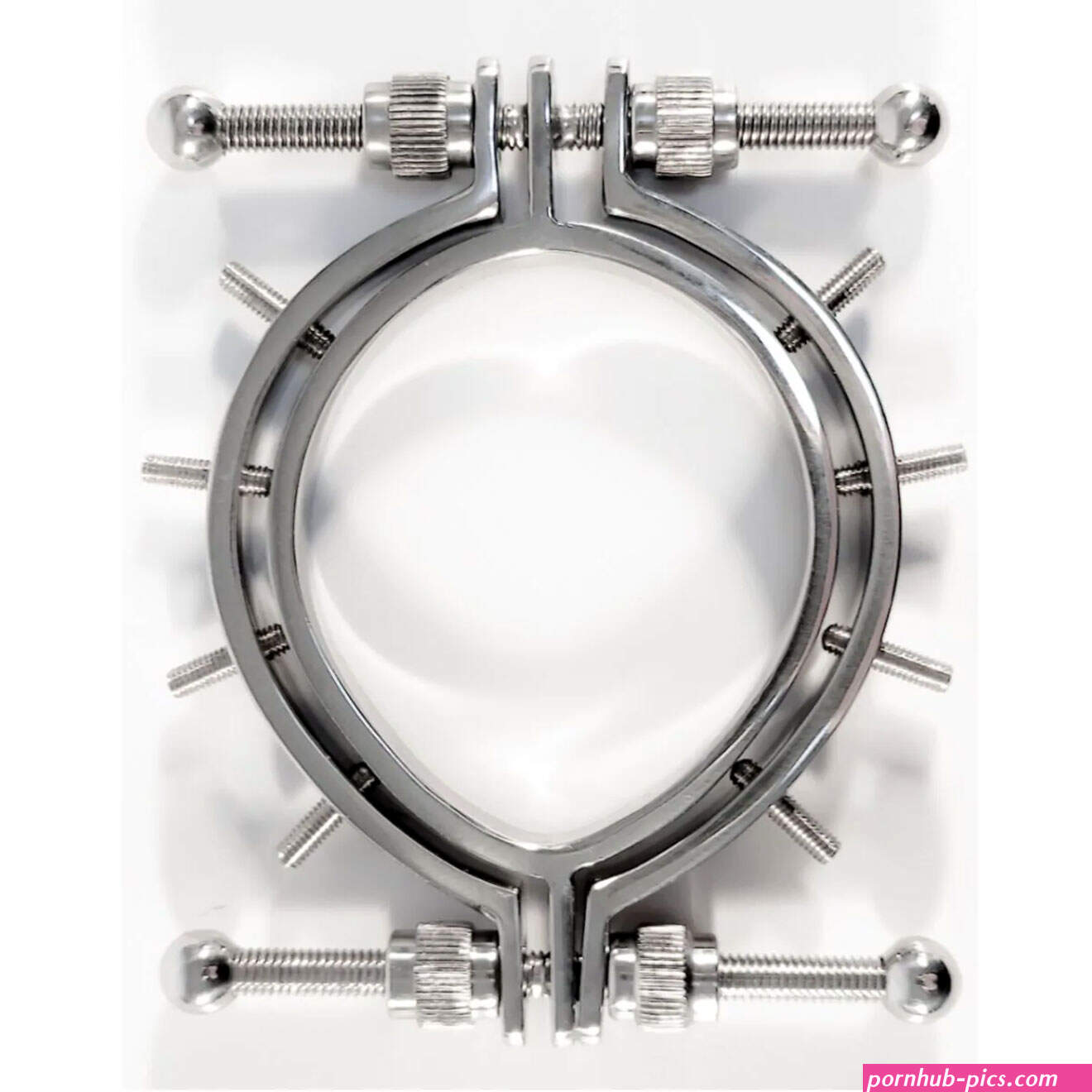 Stainless Steel Pussy Clamps With Spikes by Black Label