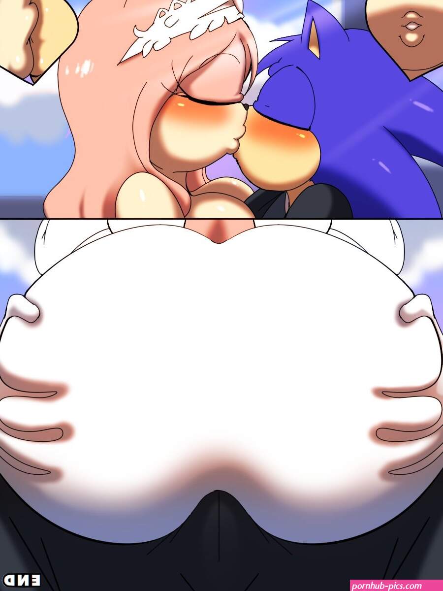 Zaviel] (Sonic The Hedgehog) Amy's Peachy Butt • Free Porn Comics
