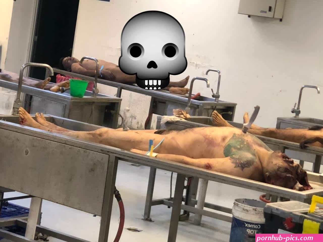 Borderland Beat: Tlaquepaque, Jalisco: El Cholo's Corpse Found at Jardín Hidalgo