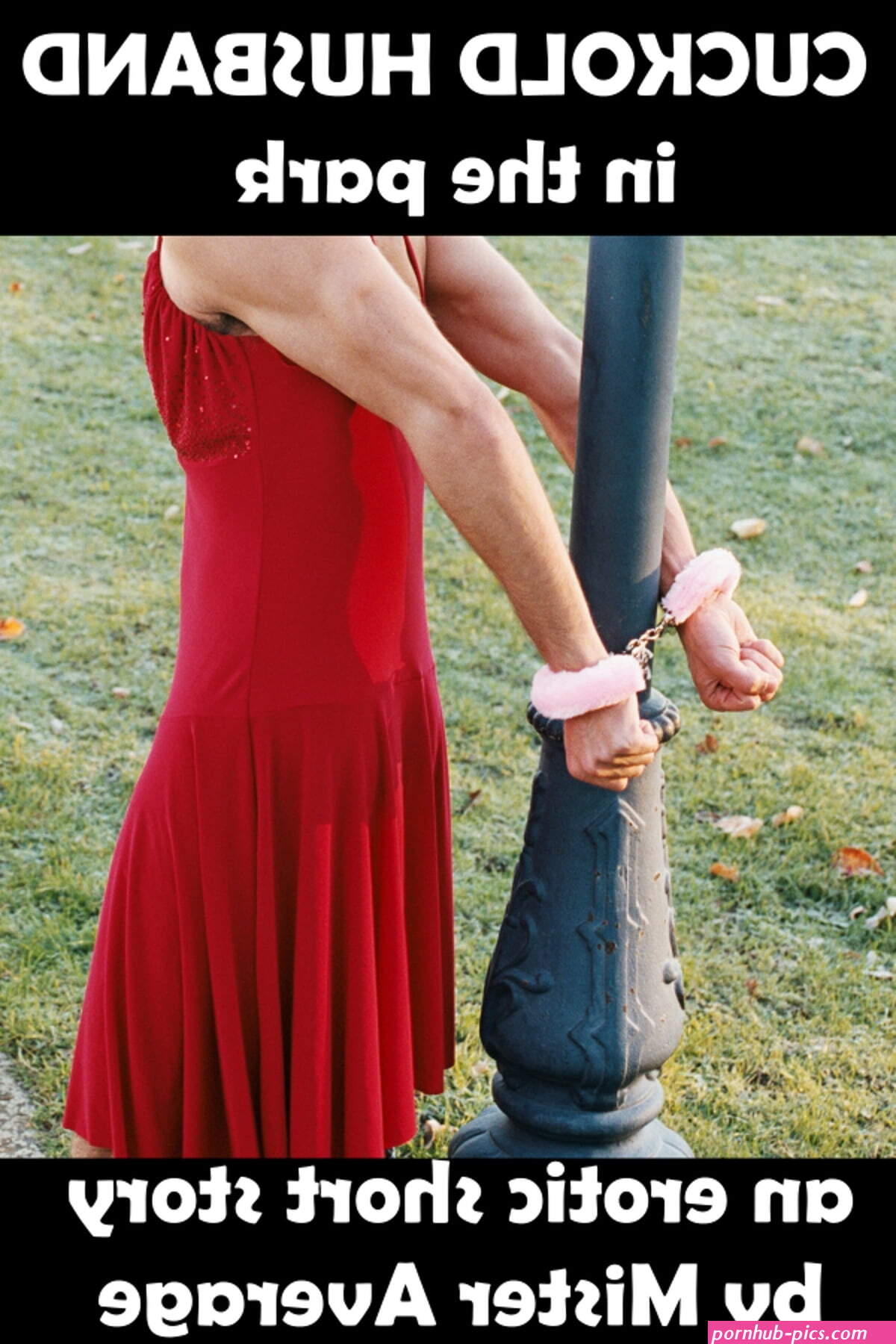 Cuckold Husband in the Park eBook by Mister Average