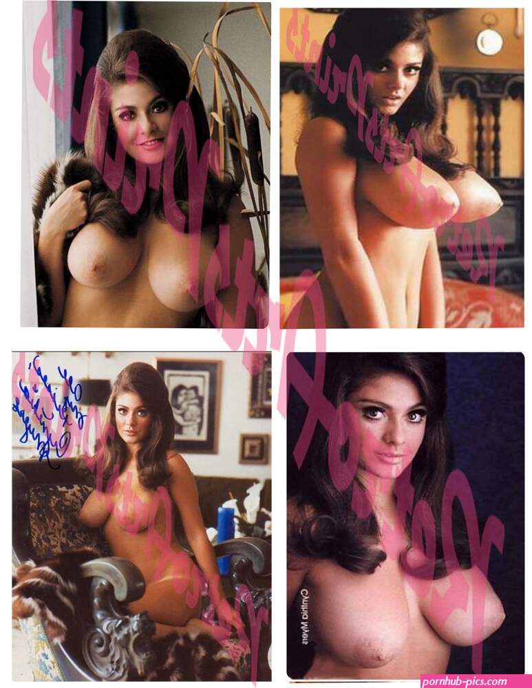 Cuatro Sexy pinup Cynthia Myers Playboy Centerfold Nude nevera imanes Collection Firmado : Amazon.com.mx: Hogar y Cocina