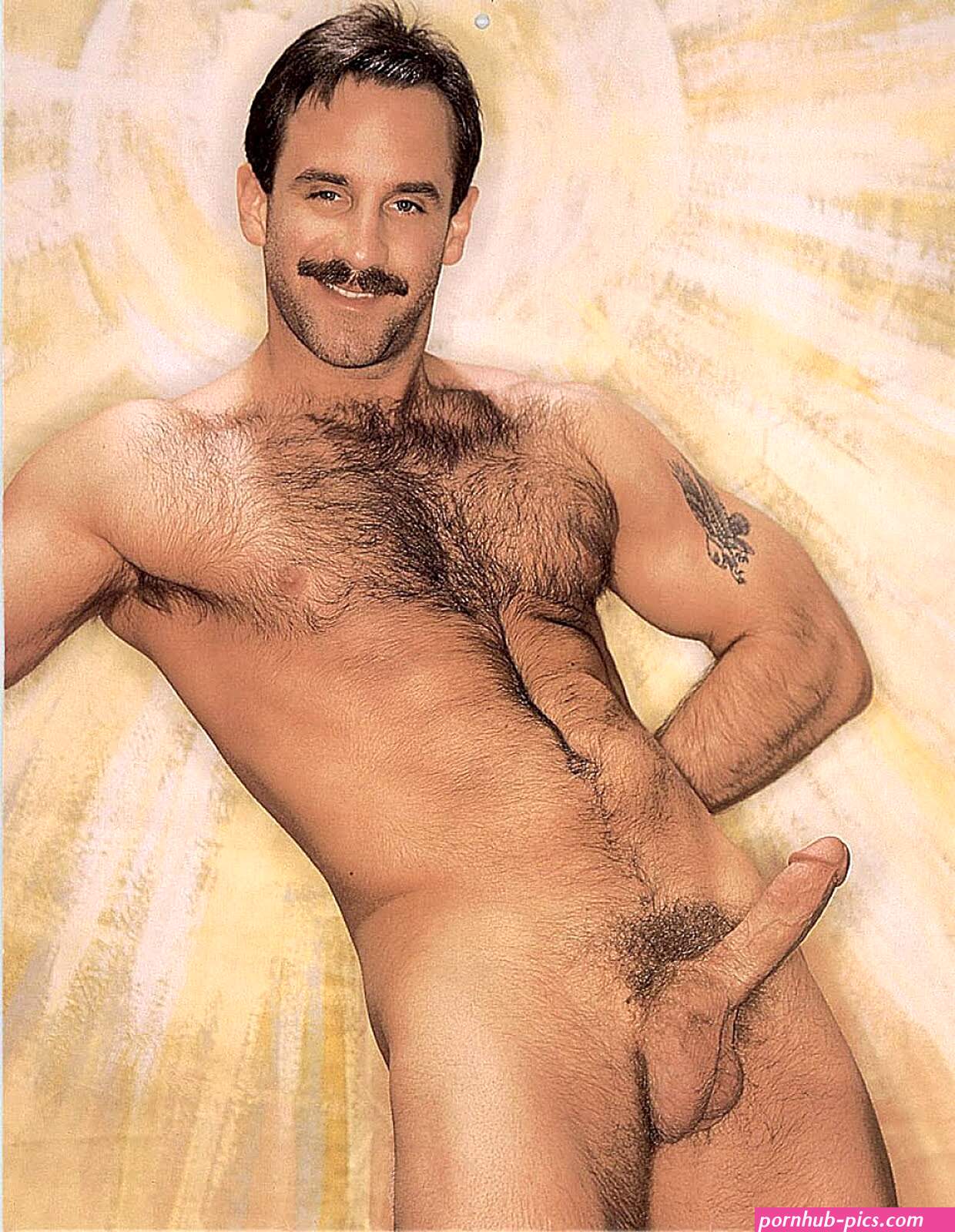 Nude Hairy Man image 96351