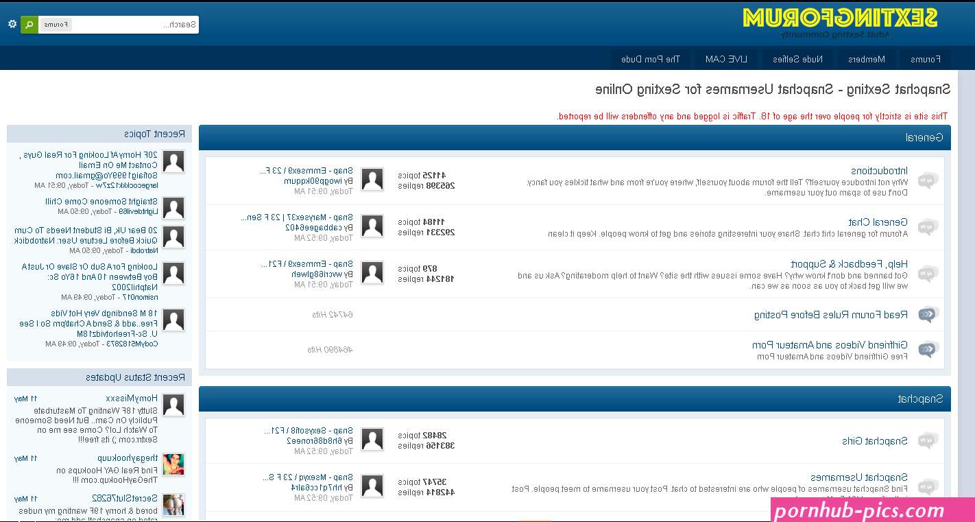 WTF Do I Think About The Sexting Forum?