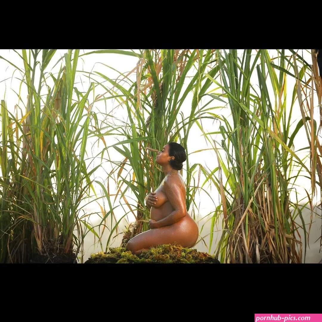 Tatyana ali nude photos