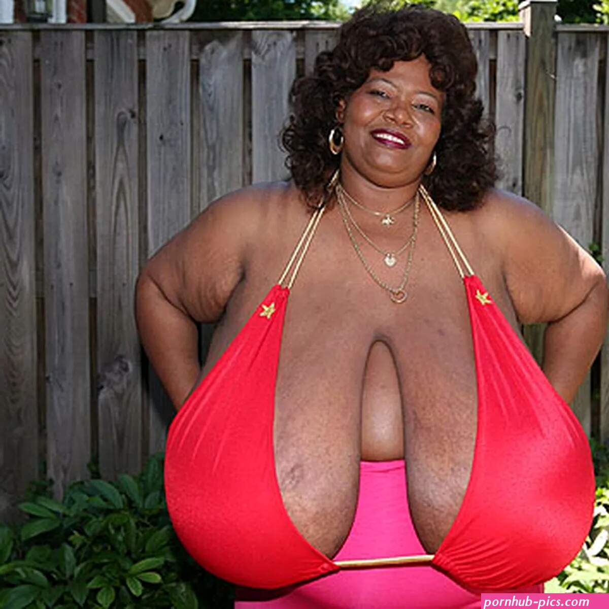 Meet the woman with the biggest breasts in the world.. Norma Stitz no kidding