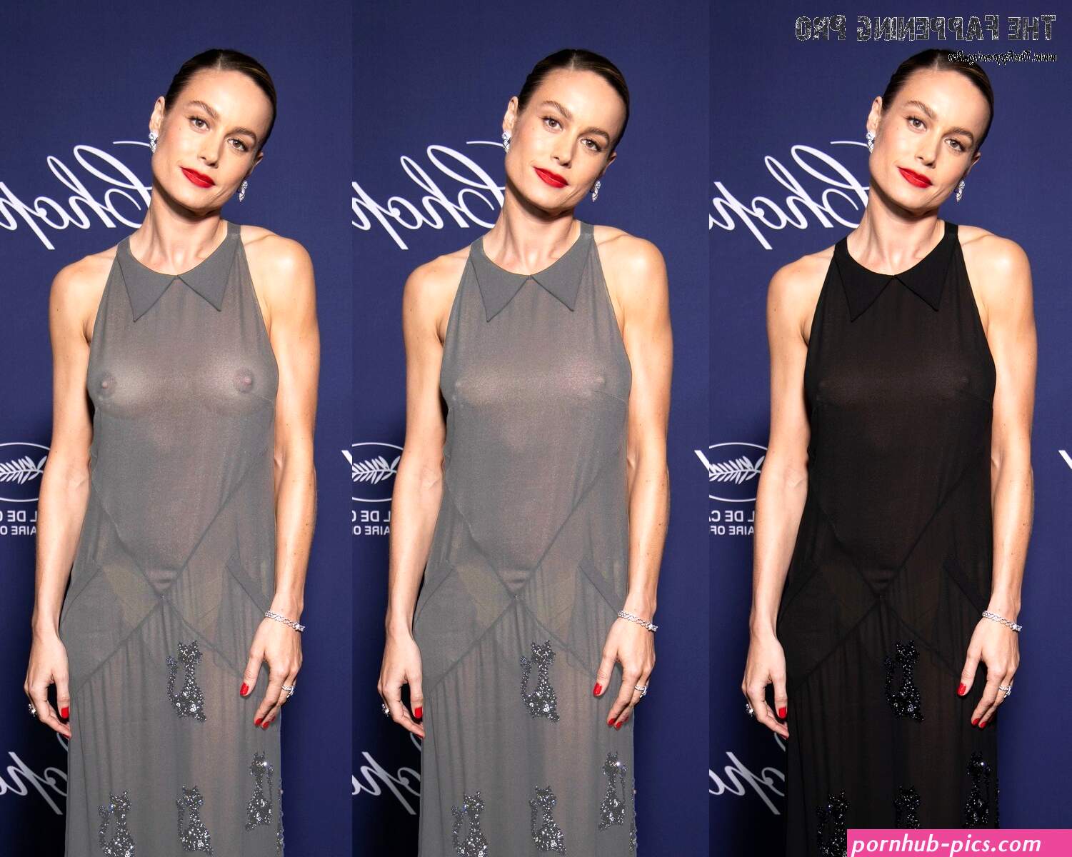 Brie Larson Exposed Her Boobs Braless At Carlton Beach